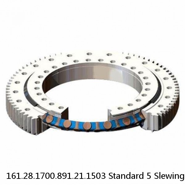 161.28.1700.891.21.1503 Standard 5 Slewing Ring Bearings