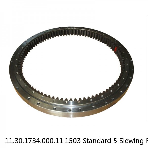 11.30.1734.000.11.1503 Standard 5 Slewing Ring Bearings