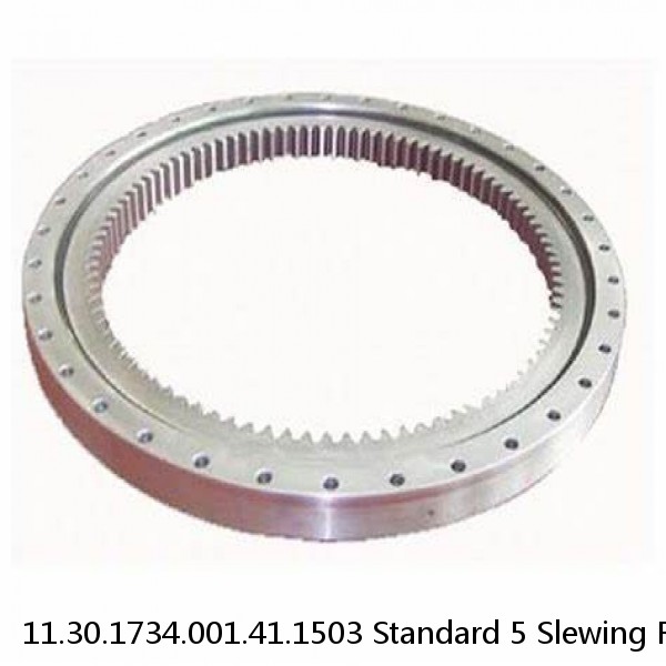 11.30.1734.001.41.1503 Standard 5 Slewing Ring Bearings #1 small image