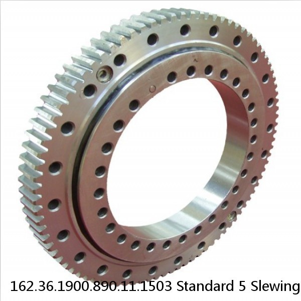 162.36.1900.890.11.1503 Standard 5 Slewing Ring Bearings #1 small image