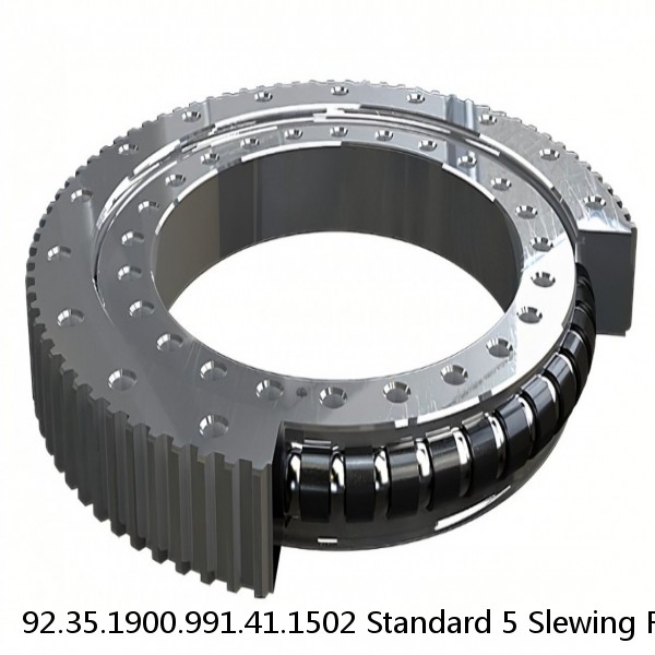 92.35.1900.991.41.1502 Standard 5 Slewing Ring Bearings #1 small image