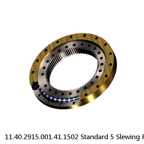 11.40.2915.001.41.1502 Standard 5 Slewing Ring Bearings