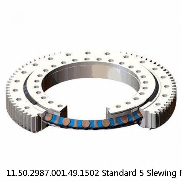 11.50.2987.001.49.1502 Standard 5 Slewing Ring Bearings #1 small image