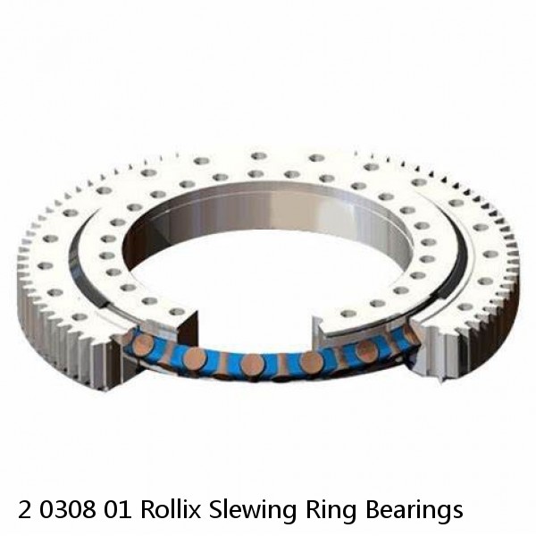 2 0308 01 Rollix Slewing Ring Bearings #1 small image