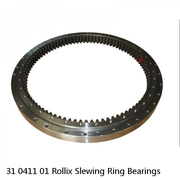 31 0411 01 Rollix Slewing Ring Bearings