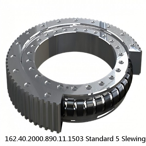 162.40.2000.890.11.1503 Standard 5 Slewing Ring Bearings #1 image