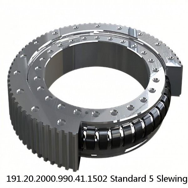 191.20.2000.990.41.1502 Standard 5 Slewing Ring Bearings #1 image