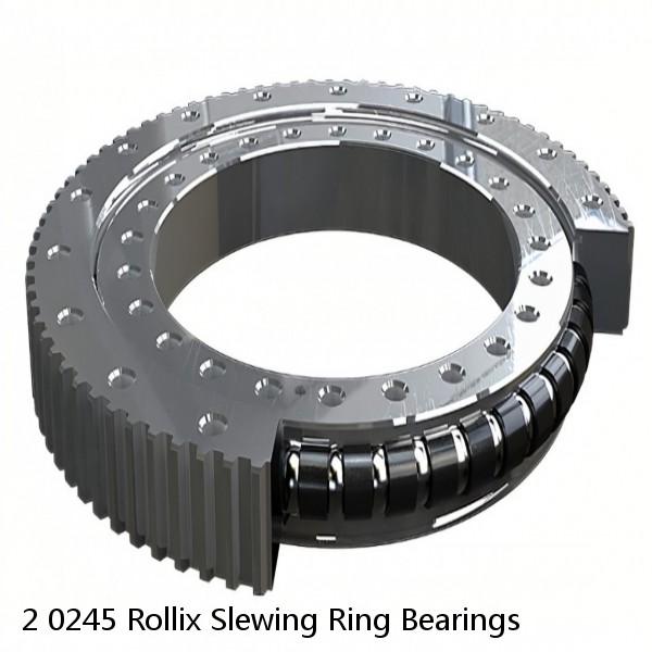 2 0245 Rollix Slewing Ring Bearings #1 image