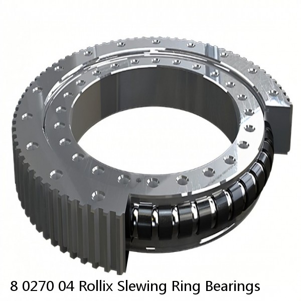 8 0270 04 Rollix Slewing Ring Bearings #1 image