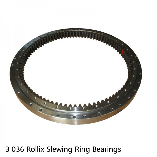 3 036 Rollix Slewing Ring Bearings #1 image